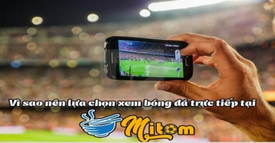 Mitom TV - Link xem trực tiếp bóng đá được yêu thích nhất